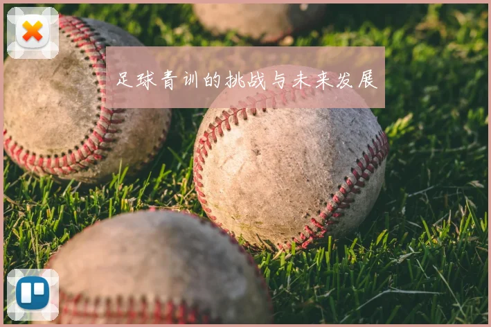 足球青训的挑战与未来发展