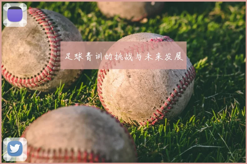 足球青训的挑战与未来发展