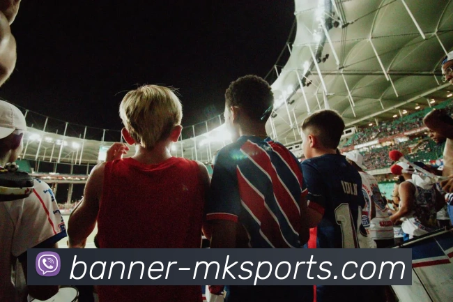 MK体育APP 封面图